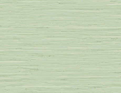 DuPont TG60535 Wallpaper - Eade's Wallpaper & Fabric