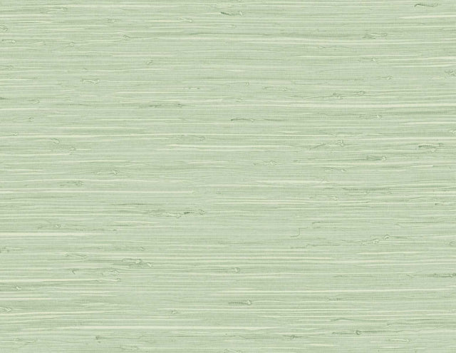 DuPont TG60535 Wallpaper - Eade's Wallpaper & Fabric