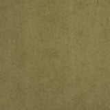 Crypton 75-J7031 THORNHILL Fabric