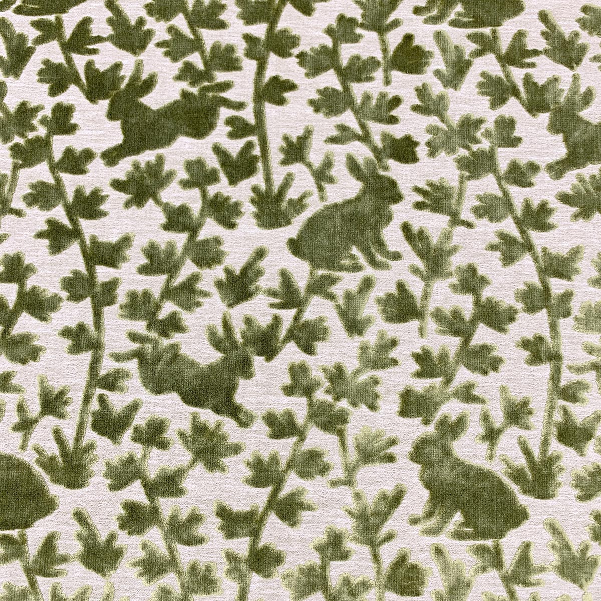 Eade’s THUMPER BASIL BASIL