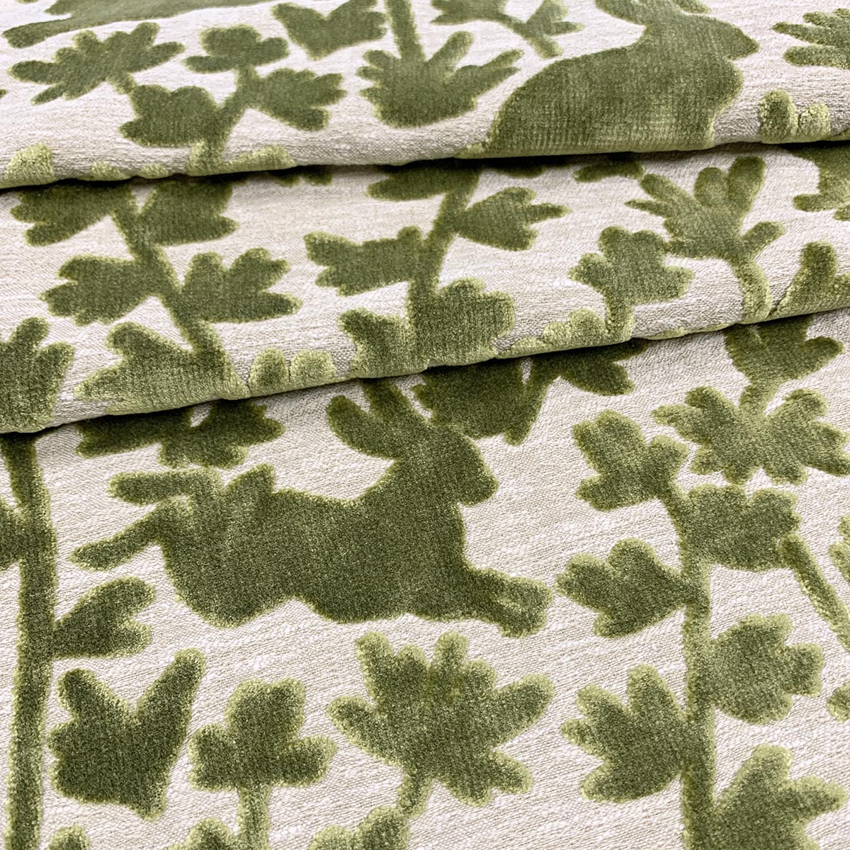 Eade’s THUMPER BASIL BASIL