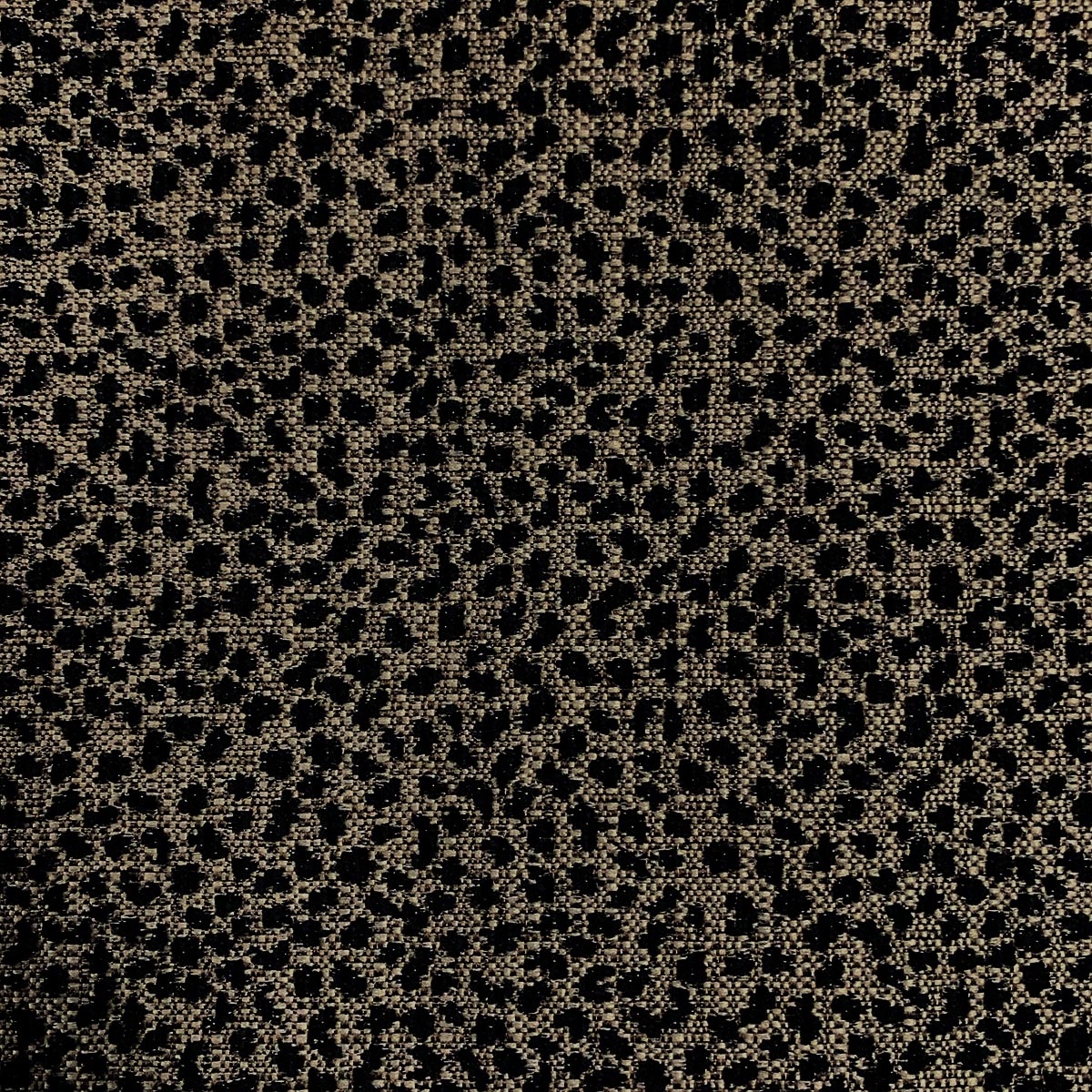 Eade’s TIBBS SAFARI SAFARI