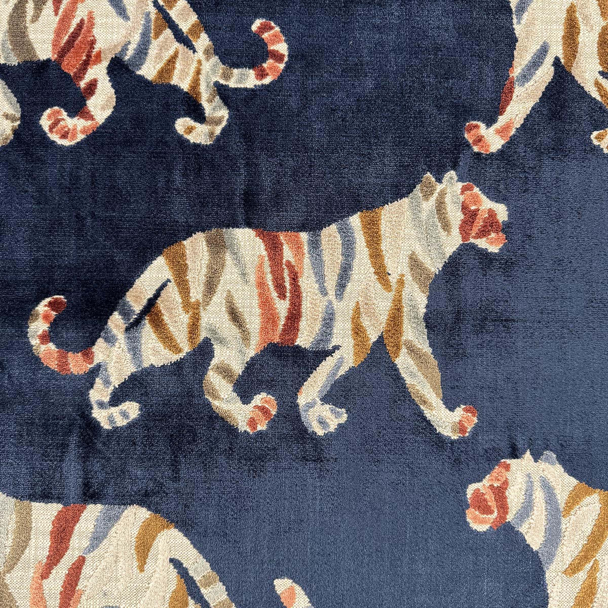 Eade’s TIGRESS MIDNIGHT MIDNIGHT