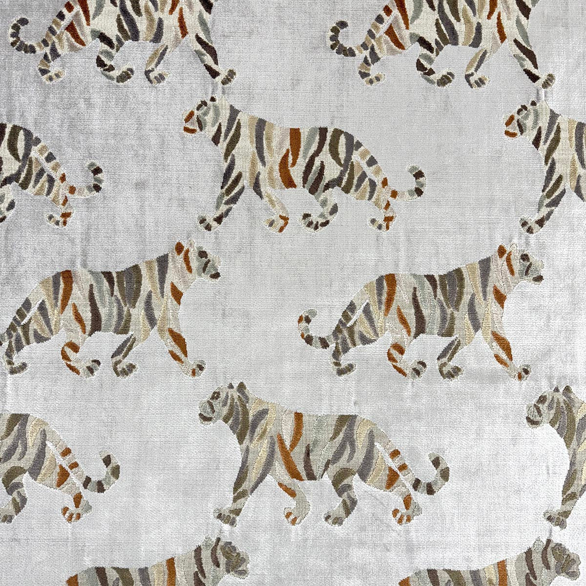 Eade’s TIGRESS MOONDUST MOONDUST