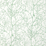 KRAVET BASICS TIMBER TOP.3.0 TIMBER TOP GRASS Fabric - Eade's Wallpaper