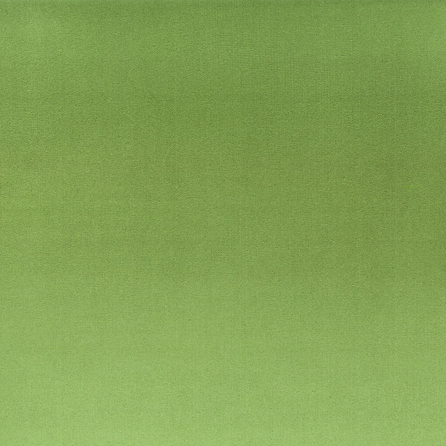 STOUT TINK-2 TINKER 2 BASIL Fabric - Eades Wallpaper & Fabric