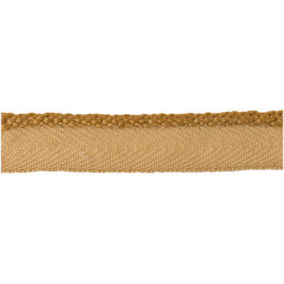 LEE JOFA TL10119.4.0 PENCIL LINE AMBER TRIM - Eade's Wallpaper
