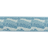 LEE JOFA MODERN TL10179.505.0 SURGE TAPE CATALINA TRIM - Eade's Wallpaper