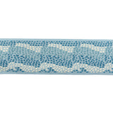 LEE JOFA MODERN TL10179.505.0 SURGE TAPE CATALINA TRIM - Eade's Wallpaper