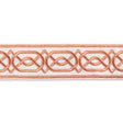 LEE JOFA SHIRE EMB TAPE TL10196.124.0 in TERRA Fabric - HINT