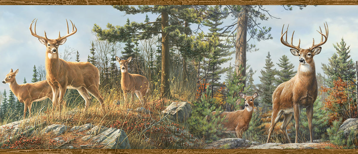 Chesapeake TLL48463B Ashmere Brown Whitetail Crest Border