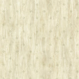 Chesapeake TLL66385 Heron Olive Stencil Starburst Wallpaper