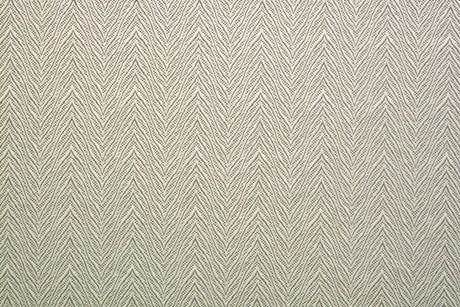 Scalamandre TL 00022592 SILVER SHADOW KATAVI Fabric - Eade's Wallpaper