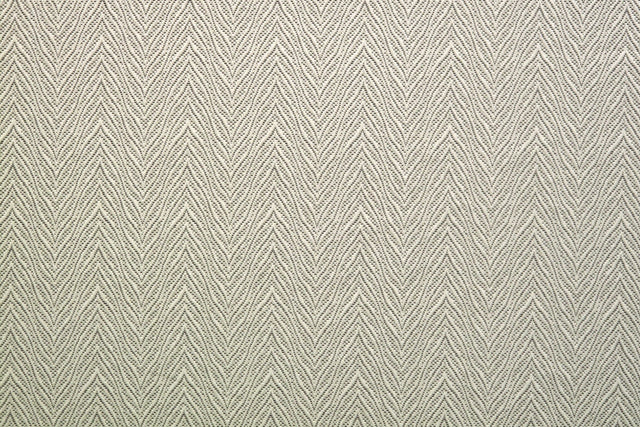 Scalamandre TL 00022592 SILVER SHADOW KATAVI Fabric - Eade's Wallpaper