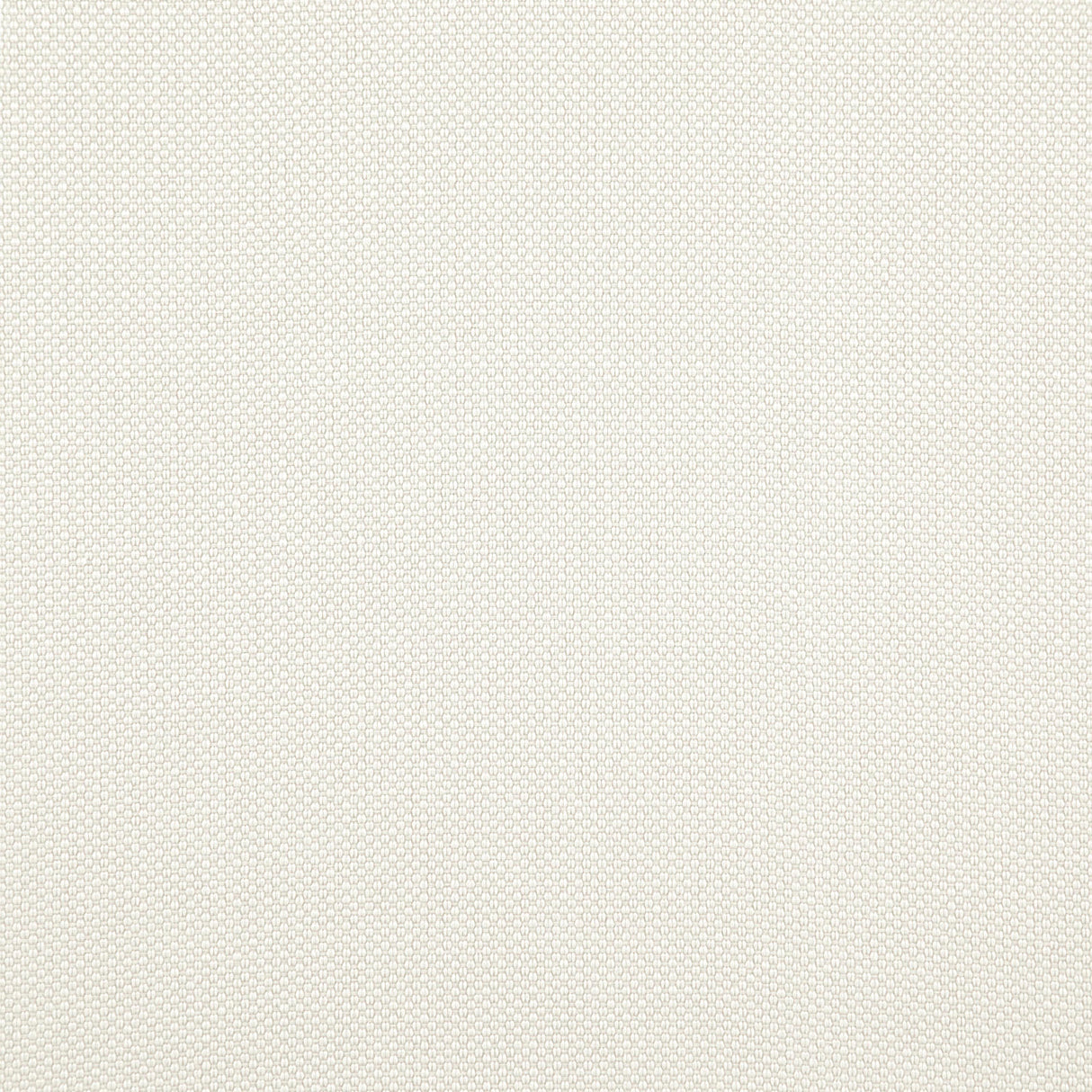 Eade’s # 07 ANGORA