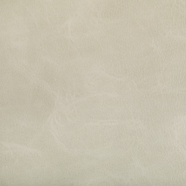 KRAVET CONTRACT TONI.1.0 TONI TUSK Fabric - Eade's Wallpaper