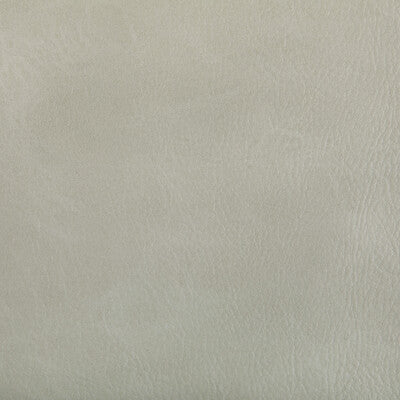 KRAVET CONTRACT TONI.101.0 TONI LIMESTONE Fabric - Eade's Wallpaper