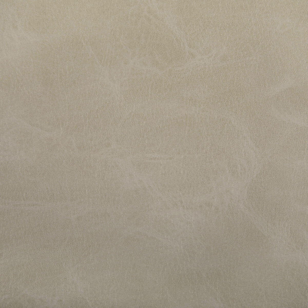 KRAVET CONTRACT TONI.106.0 TONI DUNE Fabric - Eade's Wallpaper