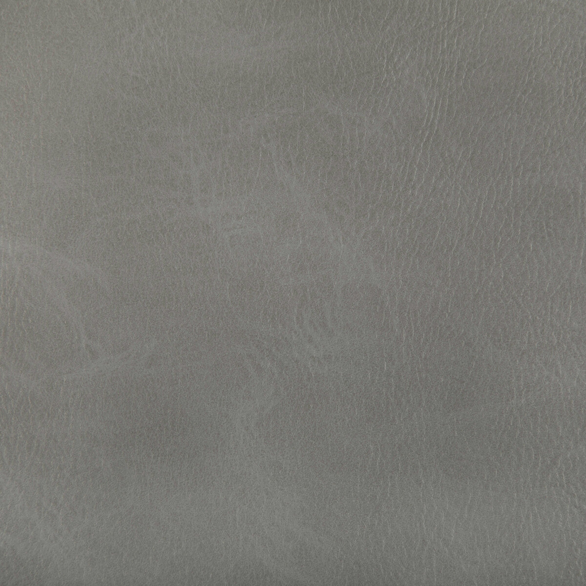 KRAVET CONTRACT TONI.11.0 TONI SPUR Fabric - Eade's Wallpaper