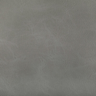 KRAVET CONTRACT TONI.11.0 TONI SPUR Fabric - Eade's Wallpaper
