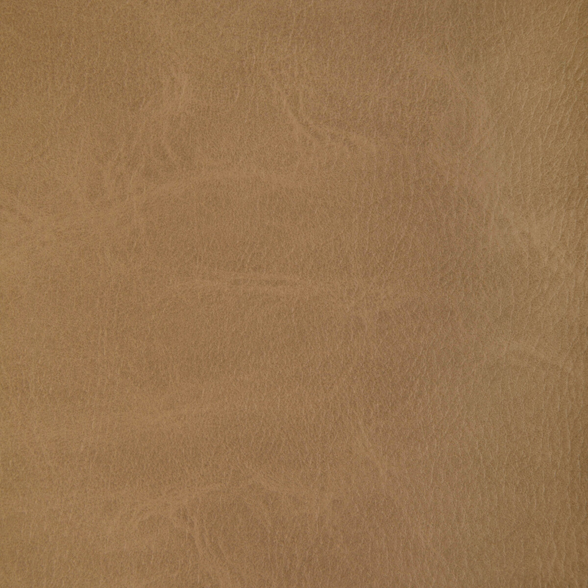 KRAVET CONTRACT TONI.16.0 TONI MOCCASIN Fabric - Eade's Wallpaper