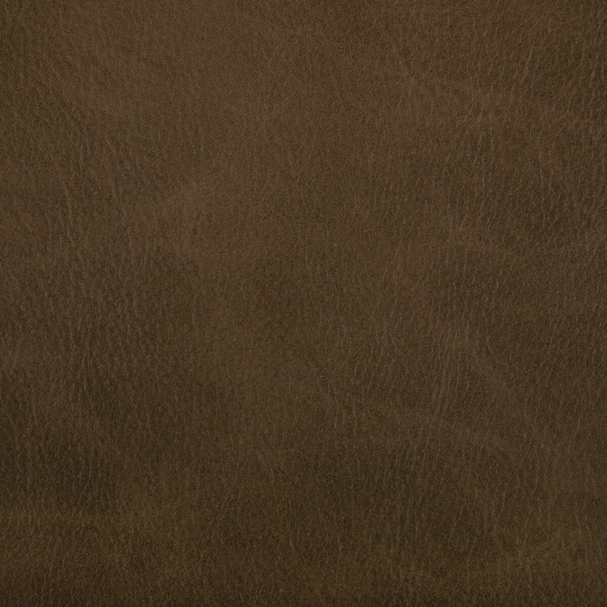 KRAVET CONTRACT TONI.166.0 TONI ETRUSCAN Fabric - Eade's Wallpaper