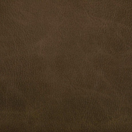 KRAVET CONTRACT TONI.166.0 TONI ETRUSCAN Fabric - Eade's Wallpaper
