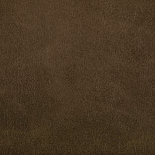 KRAVET CONTRACT TONI.166.0 TONI ETRUSCAN Fabric - Eade's Wallpaper
