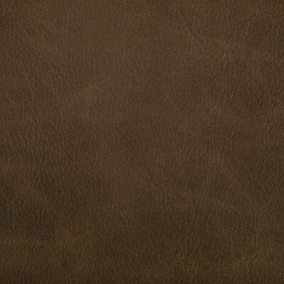 KRAVET CONTRACT TONI.166.0 TONI ETRUSCAN Fabric - Eade's Wallpaper