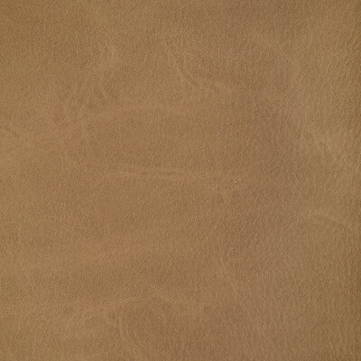 KRAVET CONTRACT TONI.16.0 TONI MOCCASIN Fabric - Eade's Wallpaper