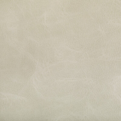 KRAVET CONTRACT TONI.1.0 TONI TUSK Fabric - Eade's Wallpaper
