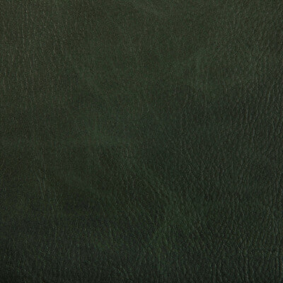 KRAVET CONTRACT TONI.303.0 TONI WOODLAND Fabric - Eade's Wallpaper