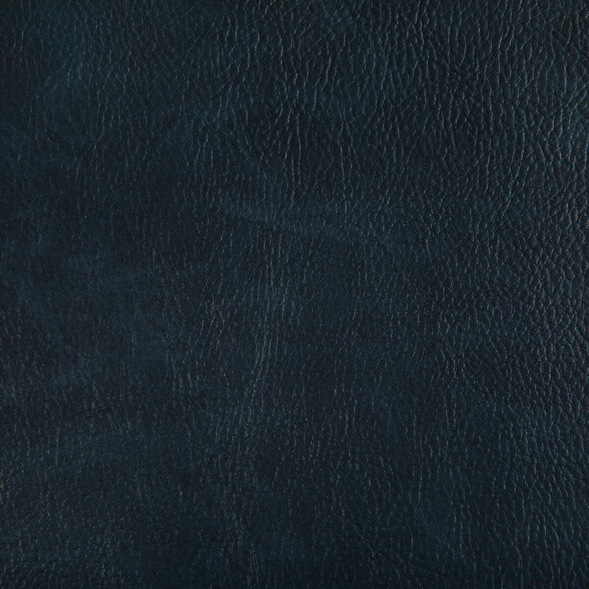 KRAVET CONTRACT TONI.505.0 TONI INK Fabric - Eade's Wallpaper