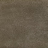 KRAVET CONTRACT TONI.6.0 TONI FIELD Fabric - Eade's Wallpaper