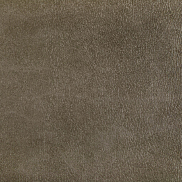 KRAVET CONTRACT TONI.6.0 TONI FIELD Fabric - Eade's Wallpaper
