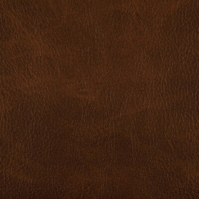 KRAVET CONTRACT TONI.606.0 TONI WHISKY Fabric - Eade's Wallpaper