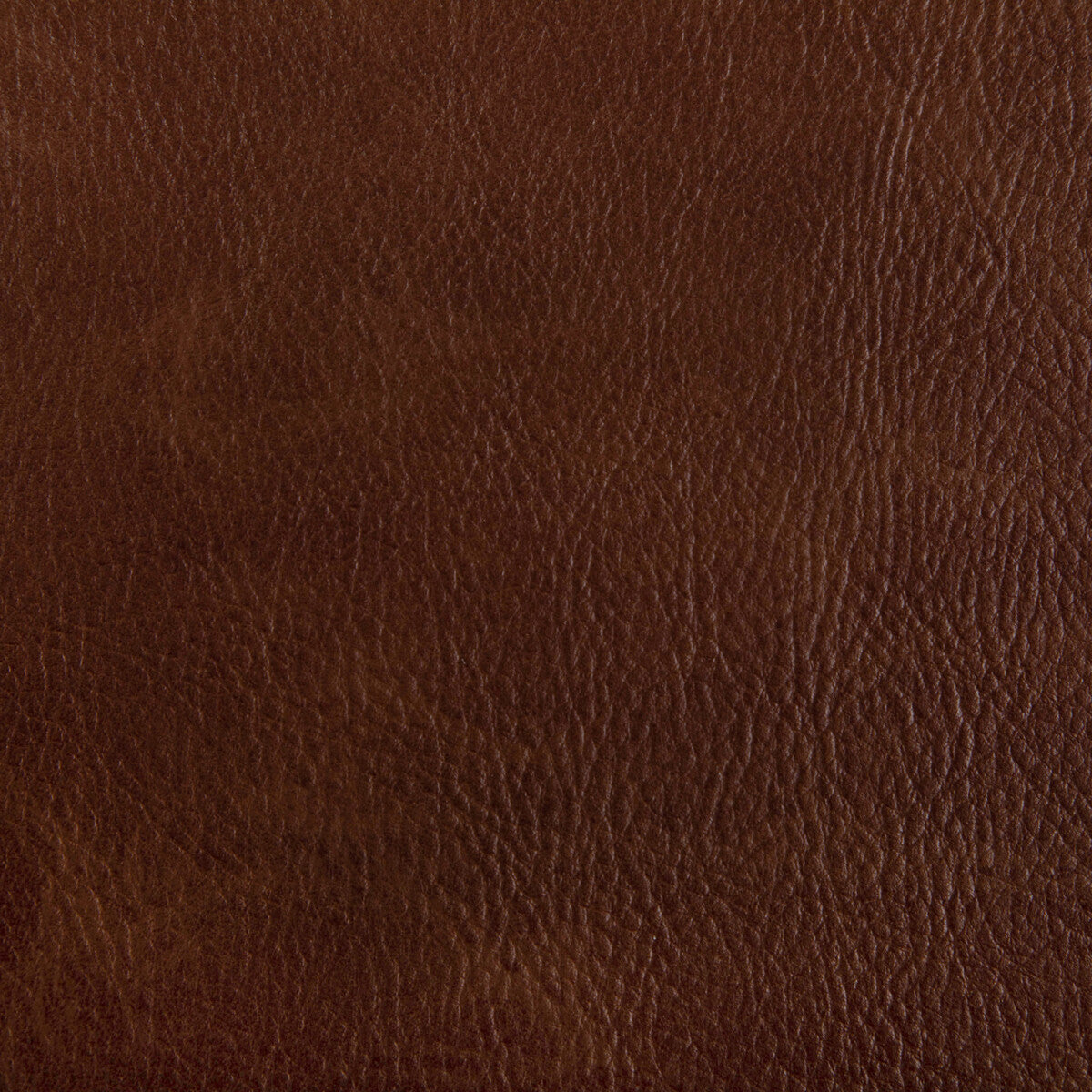 KRAVET CONTRACT TONI.616.0 TONI COGNAC Fabric - Eade's Wallpaper