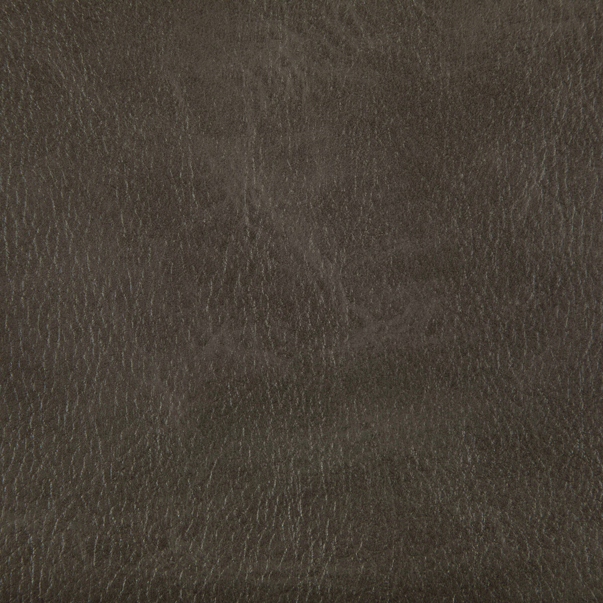 KRAVET CONTRACT TONI.66.0 TONI RUSTLER Fabric - Eade's Wallpaper