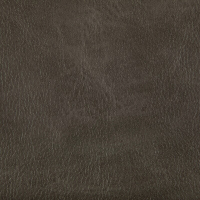 KRAVET CONTRACT TONI.66.0 TONI RUSTLER Fabric - Eade's Wallpaper