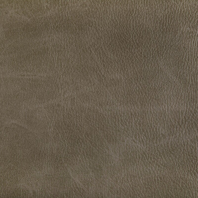 KRAVET CONTRACT TONI.6.0 TONI FIELD Fabric - Eade's Wallpaper