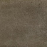 KRAVET CONTRACT TONI.6.0 TONI FIELD Fabric - Eade's Wallpaper