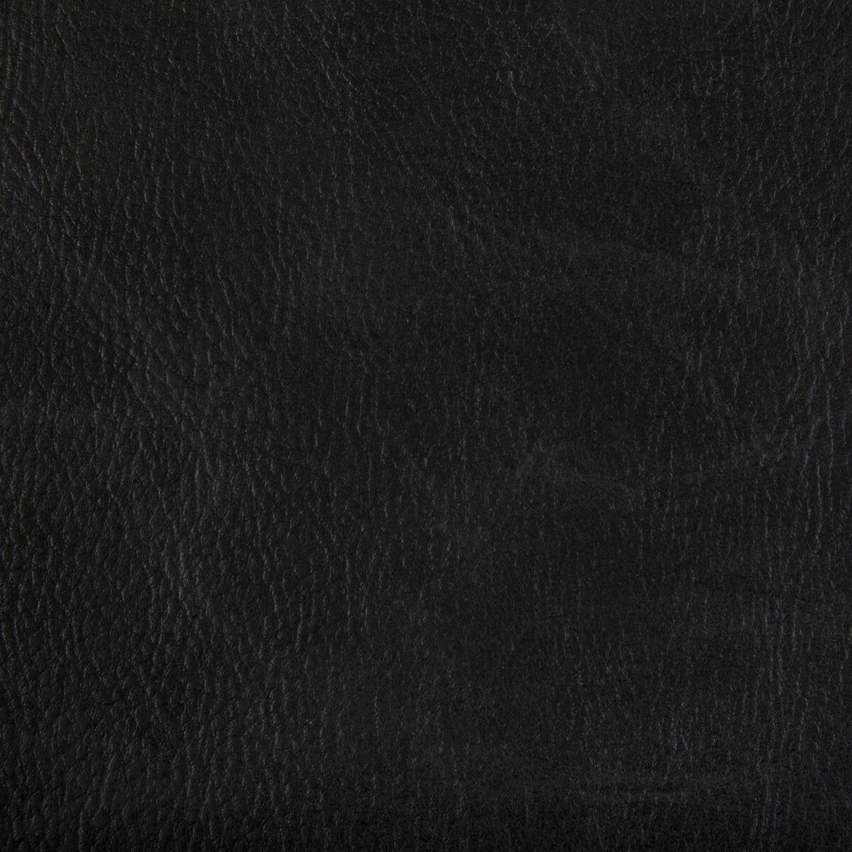 KRAVET CONTRACT TONI.8.0 TONI STALLION Fabric - Eade's Wallpaper