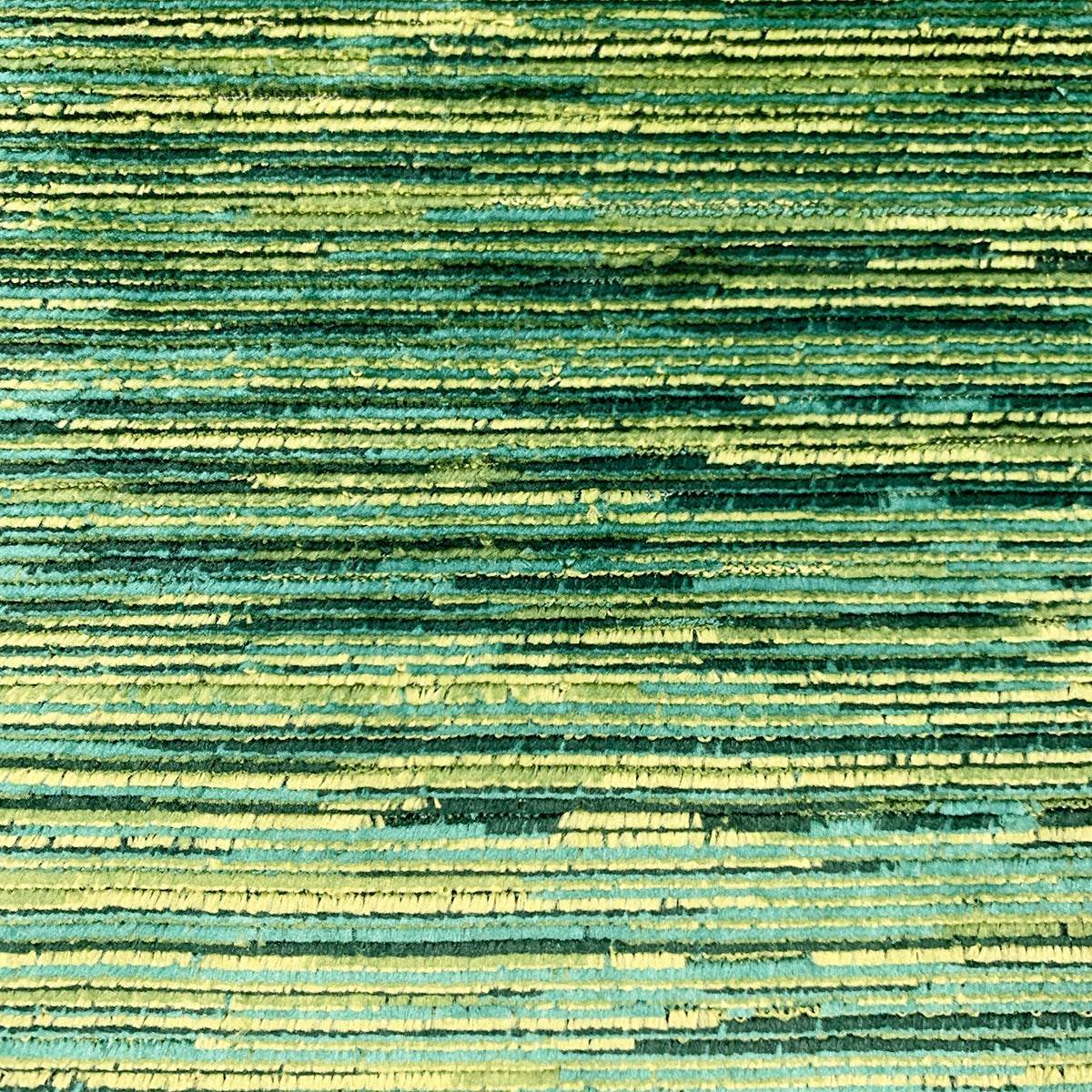 Eade’s TORRES EVERGREEN EVERGREEN