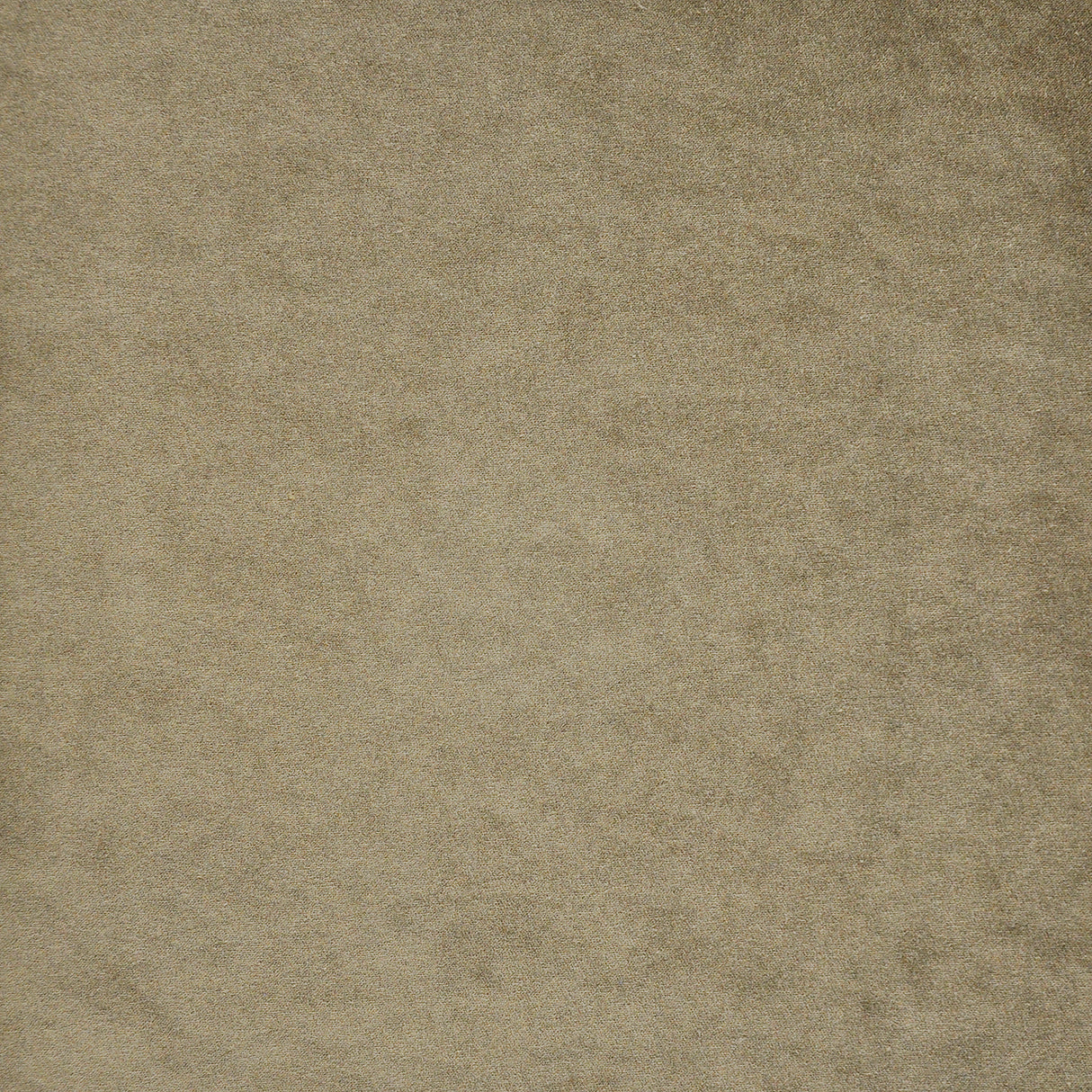 Eade’s # 714 COUGAR