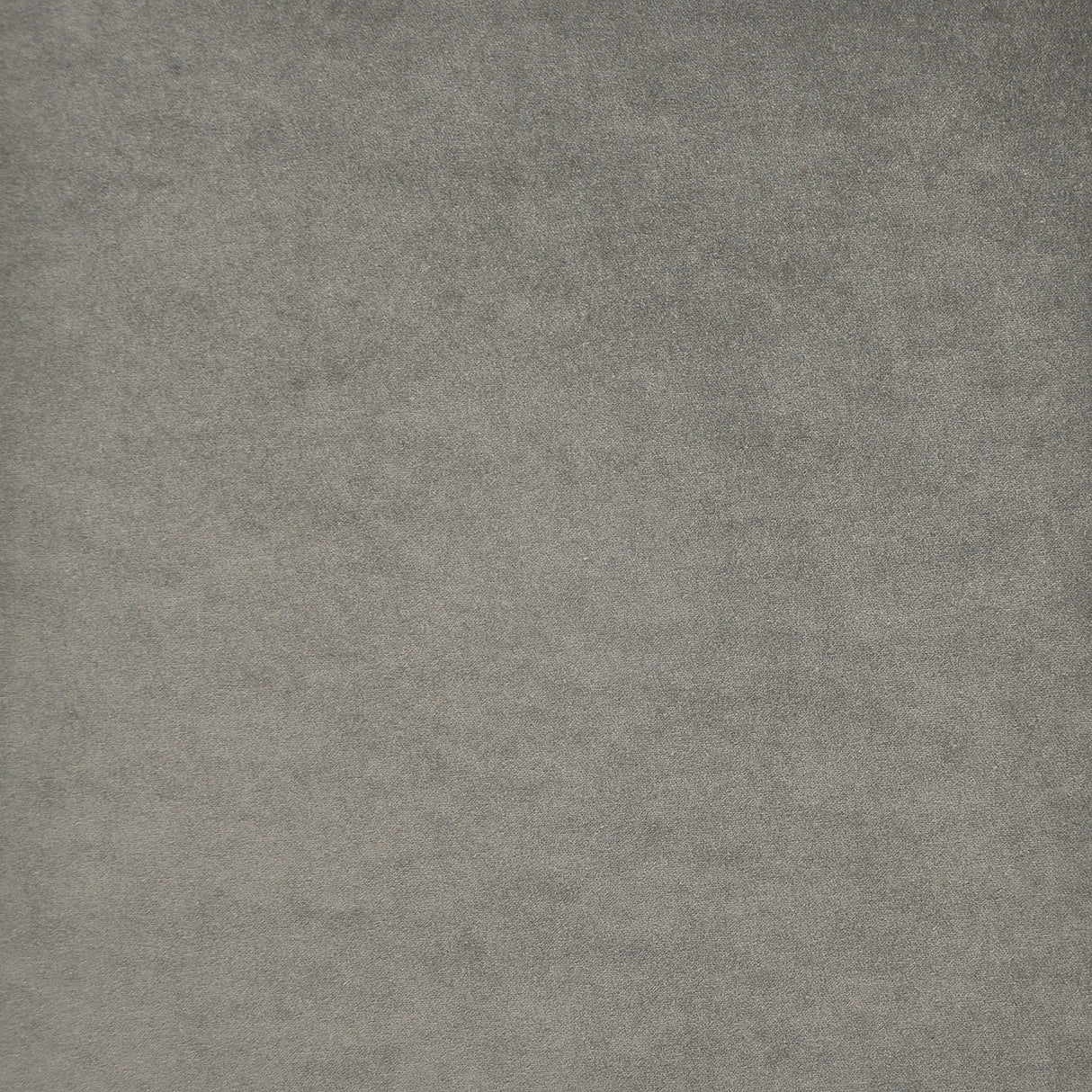 Eade’s # 771 DOLPHIN