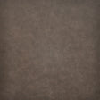 Eade’s # 219 SHETLAND