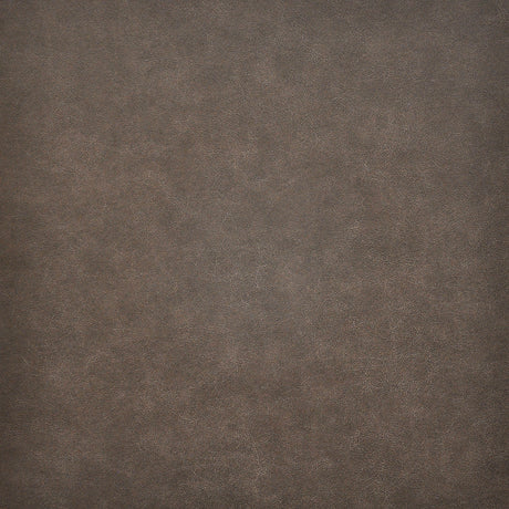 Eade’s # 219 SHETLAND