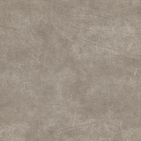 Eade’s # 18 STUCCO