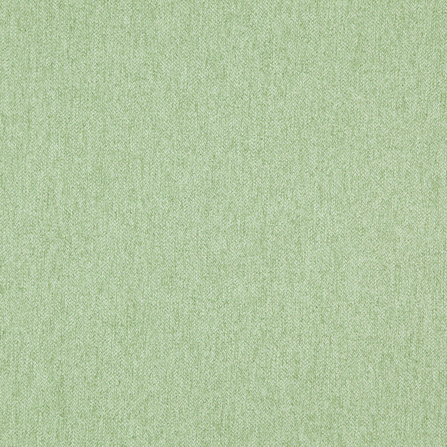 Eade’s # 13 LETTUCE