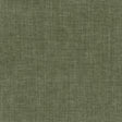 Eade's TREV-1-sample FERN